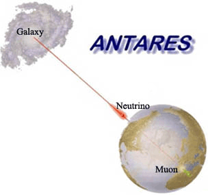 ANTARES and universe